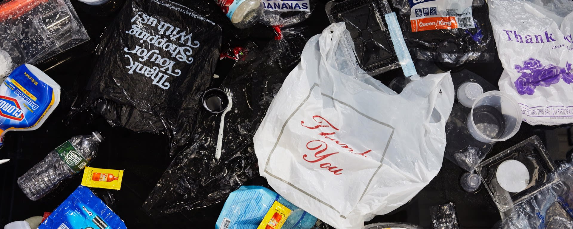 Top-down photograph of collection of about 50 pieces of the artist's single use plastic floating in a small black pool. Most prominently featured are two plastic 'Thank You' shopping bags.