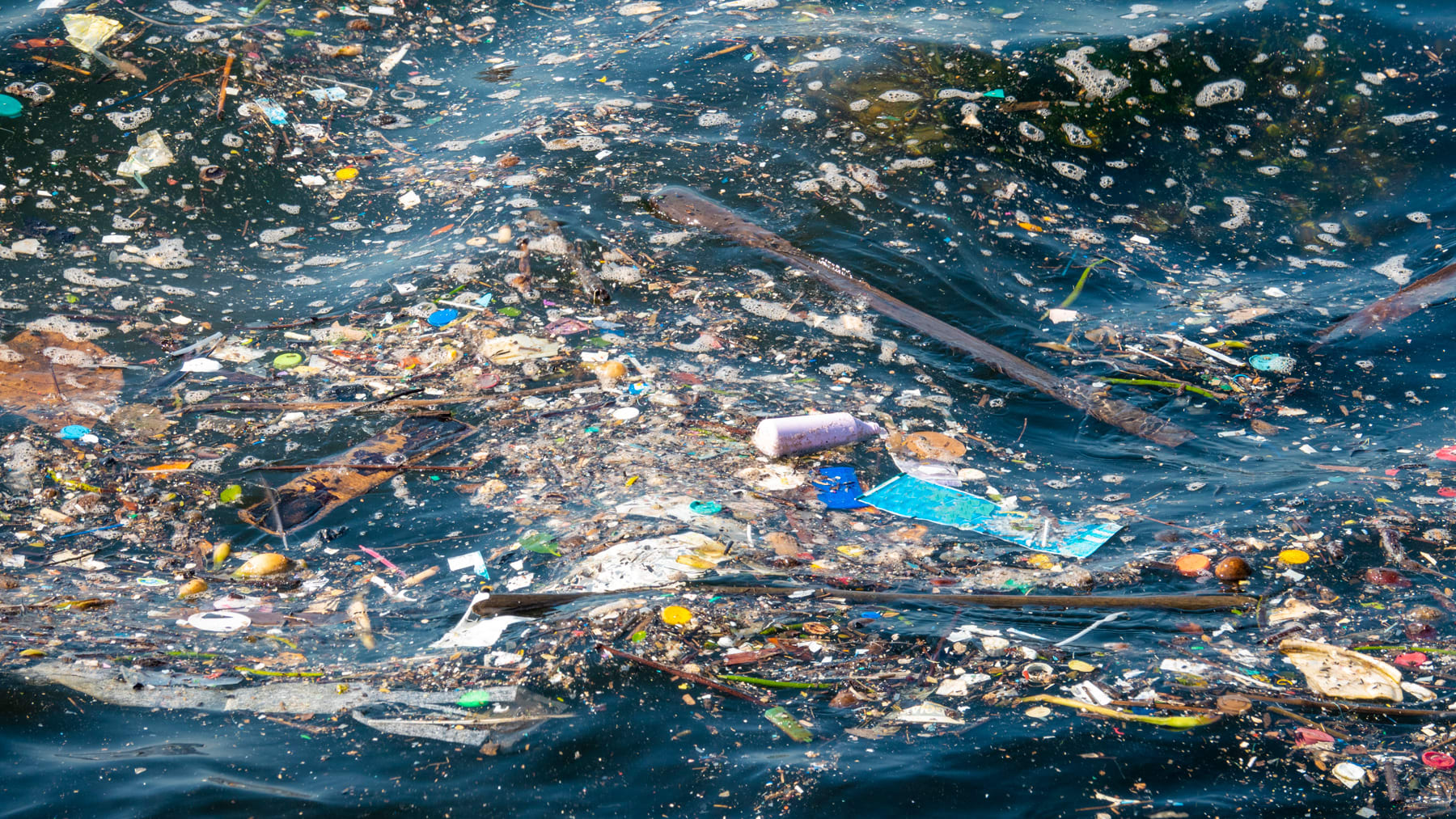 Photograph of thousands of small plastic items floating in the ocean