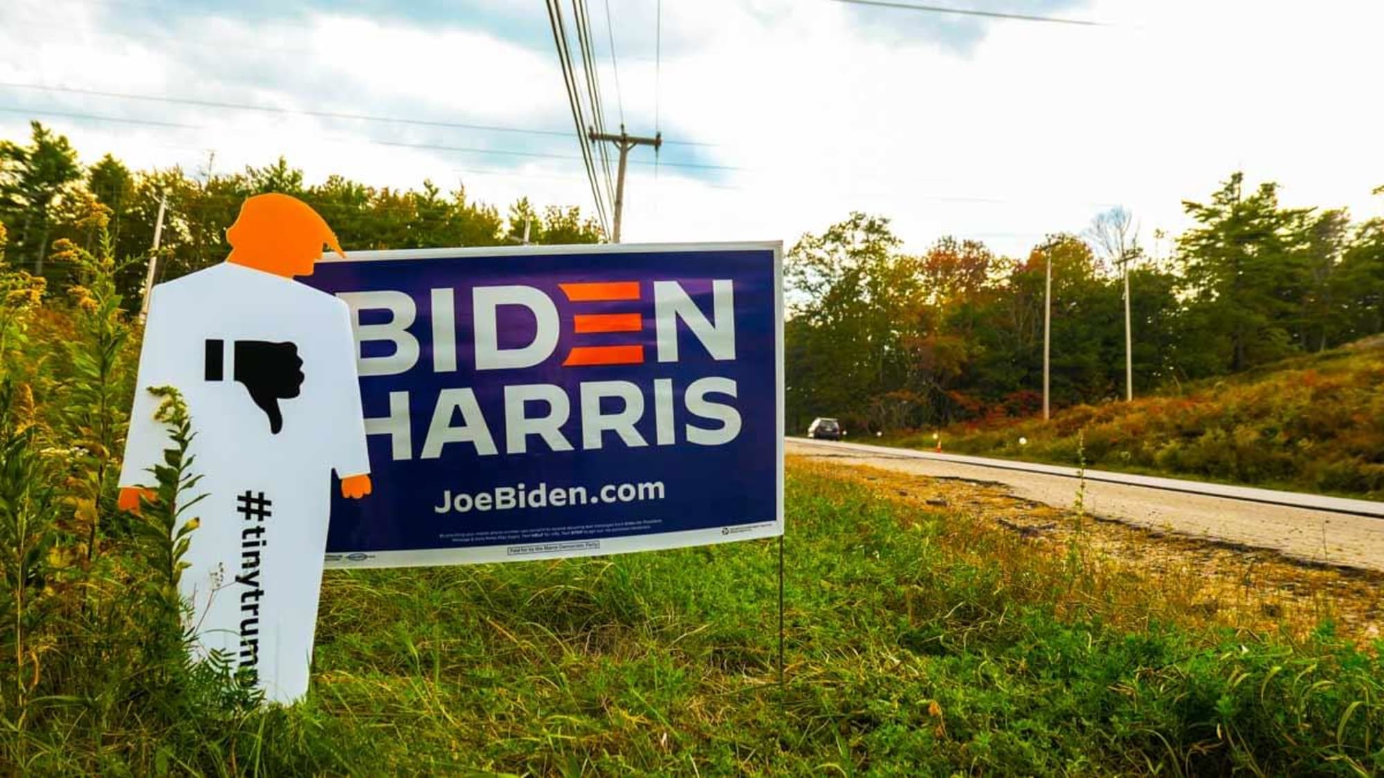 Photograph of a tiny trump lawn sign shown next to a Biden/Harris lawn sign.