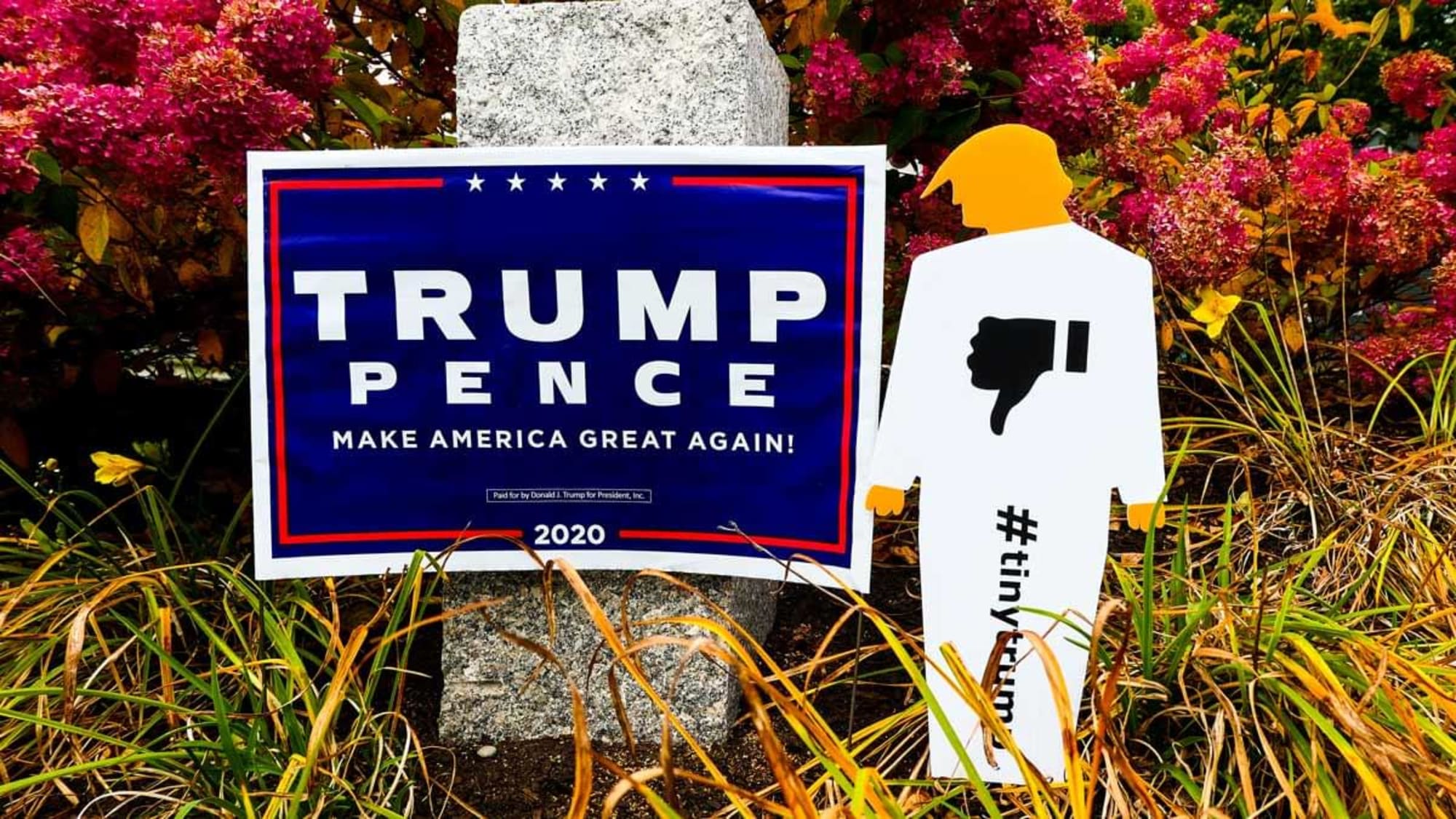 Photograph of a tiny trump lawn sign shown next to a trump/pense campaign sign. The two signs are situated in a garden on a lawn. The tiny trump sign is taller than the trump/pense sign by about six inches