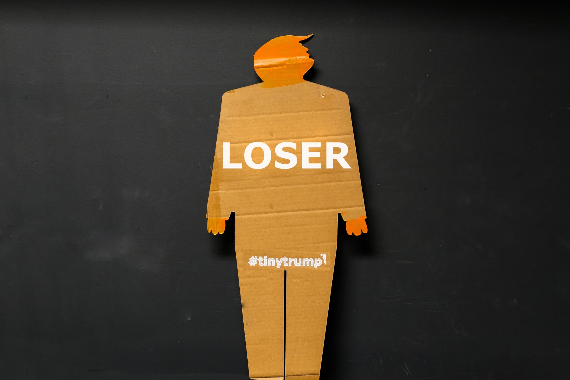 Small thumbnail image of Same as previous image except the slogan is Loser.