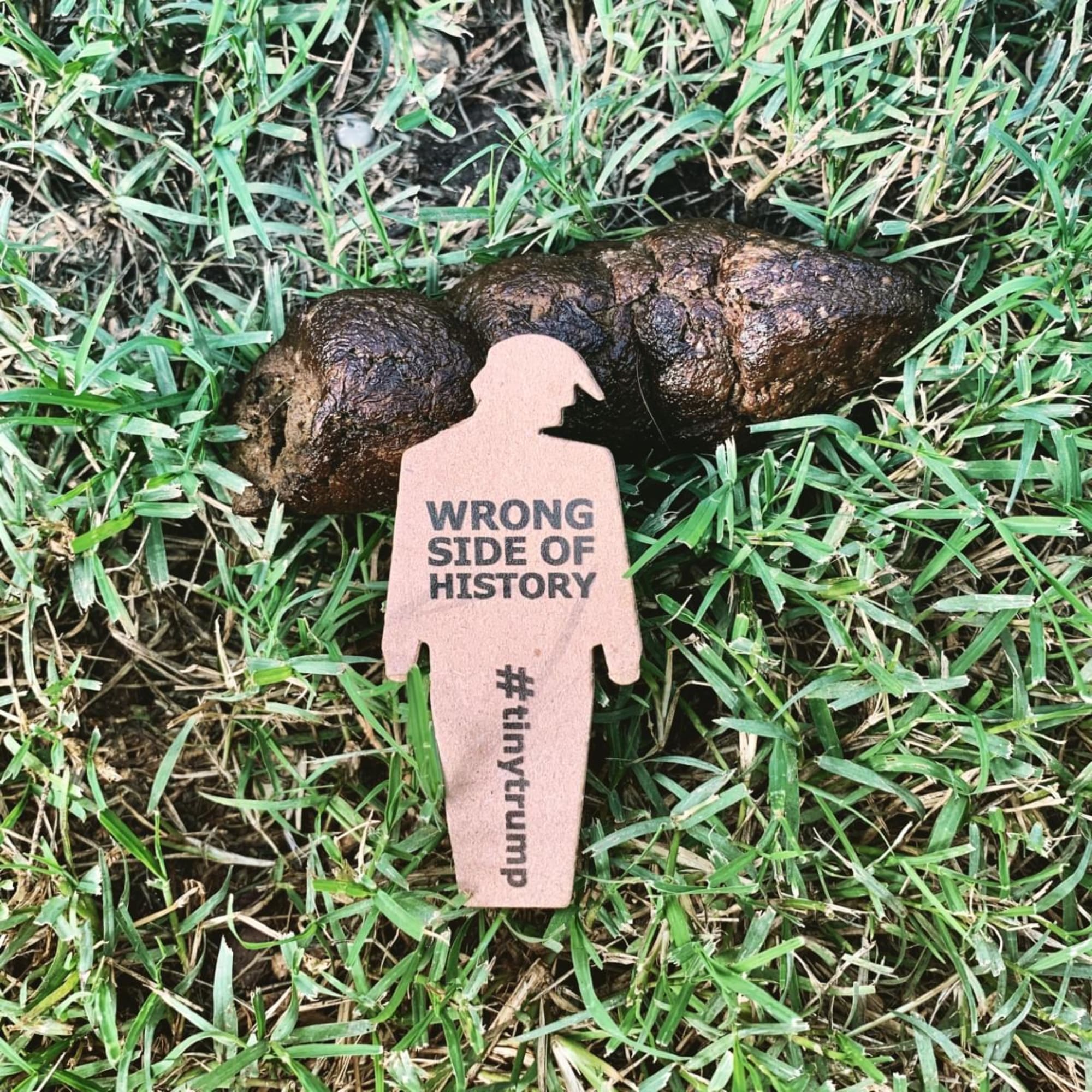 a photograph of a tiny trump with the slogan 'Wrong Side of History' placed on top of a pile of dog crap
